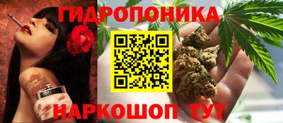 прущие грибы Наро-Фоминск