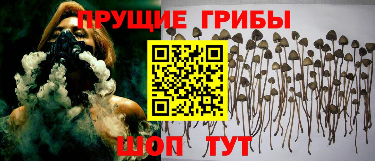 Галлюциногенные грибы GOLDEN TEACHER  Вход с VPN  купить наркотик  Сергиев Посад 