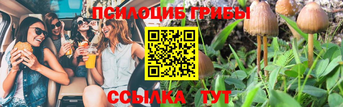 Галлюциногенные грибы Cubensis Сергиев Посад
